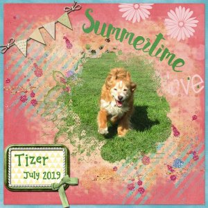 Tizer Summertime