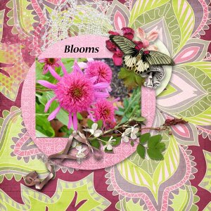 Blooms