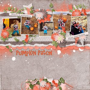 Pumpkin Patch