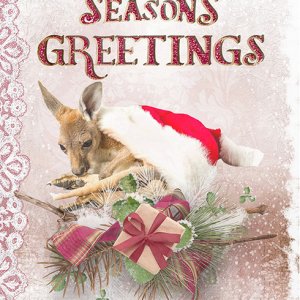 Season's Greetings card.jpg