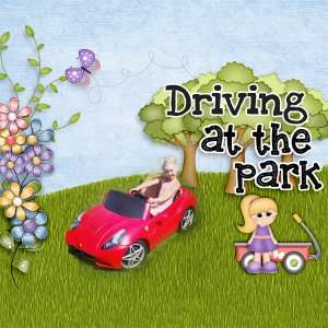 Driving-at-the-park.jpg