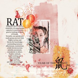 year of the rat