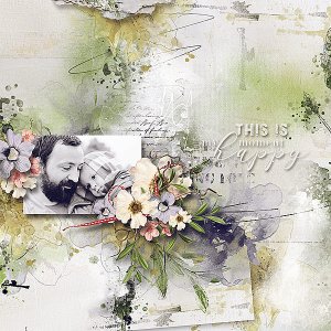 Tender Sentiment Bundle by TirAmisu design