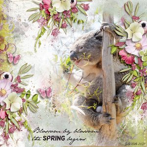 spring-begins