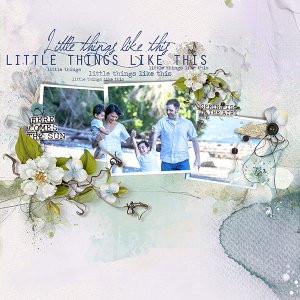 Little Things