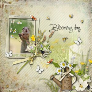 Blooming Day