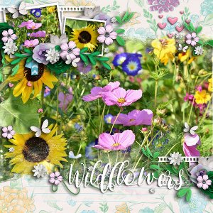 Wildflowers