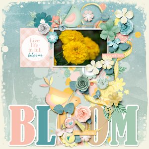 Bloom