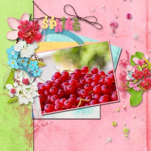 Berries-001.jpg