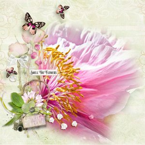 Smell the Flowers