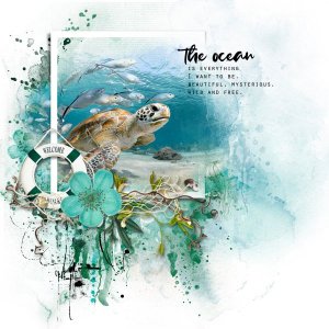 The Ocean