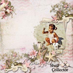 Shell Collector
