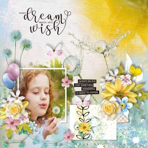 dandelion-wishes