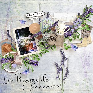 La-Provence de Charmes