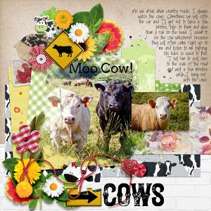 Cows