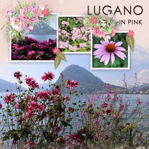 200912_Lugano pink.jpg