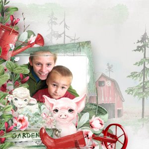 My Little Red Farm