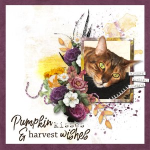Pumpkin-kisses.jpg