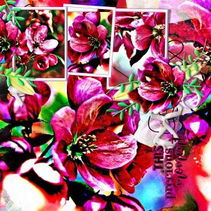 Bloom Where You Are Planted
