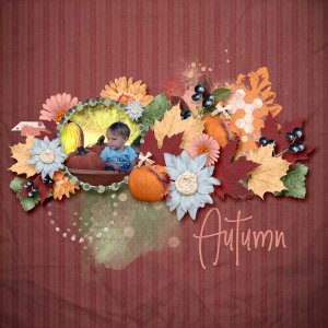 Autumn-Bounty-heather-t.jpg