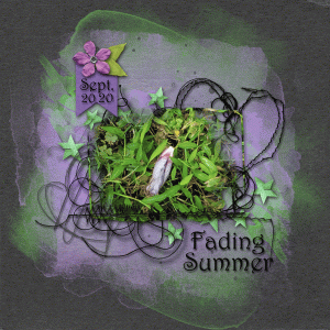 Fading Summer