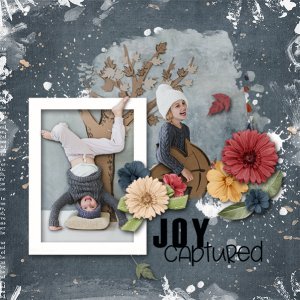 Joy Captured