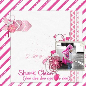 Shark Clean