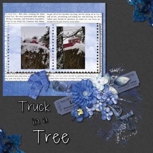 Truck in a Tree