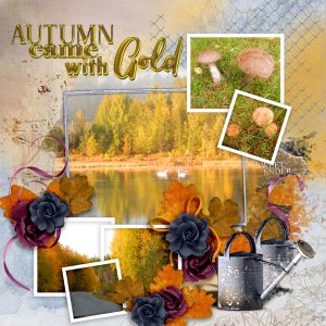 Autumn-came-with-gold.jpg