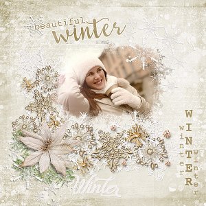 BE Winter Delight