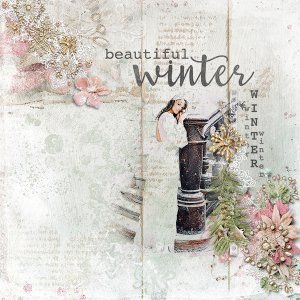 beautiful winter