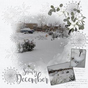 Snowy December