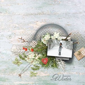 Play with templates Vol.21-24
