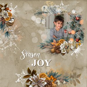 Season of Joy