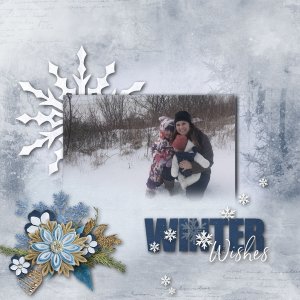 Winter Wishes