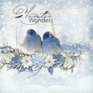 Winter Wonders