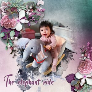 The-elephant-ride.jpg