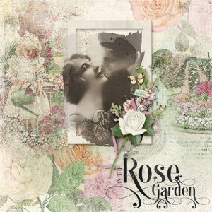 Rose Garden