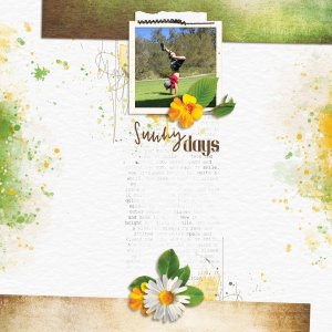 Sunny Days