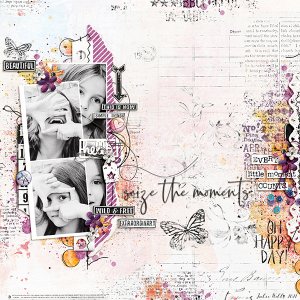 seize-the-moments