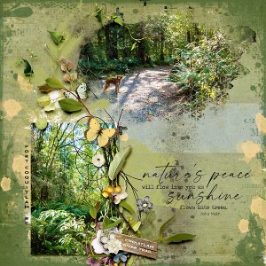 Nature's Peace