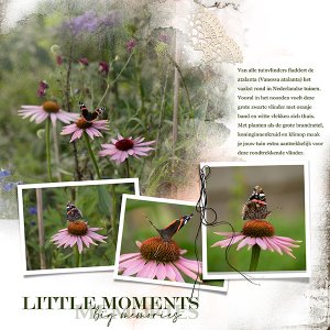 Everyday Notes June No.17 ~ Templates