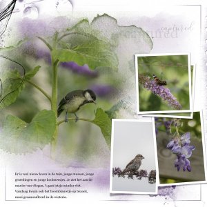 Everyday Notes June No.18 ~ Templates by Tiramisu design