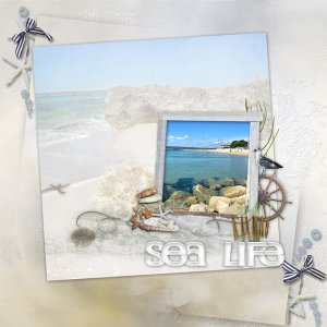 sea-life.jpg