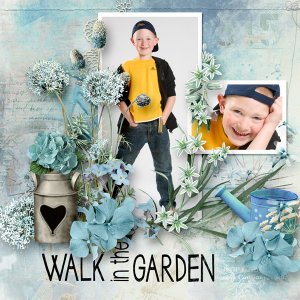 Walk in the garden