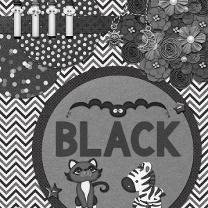 Black Color Card