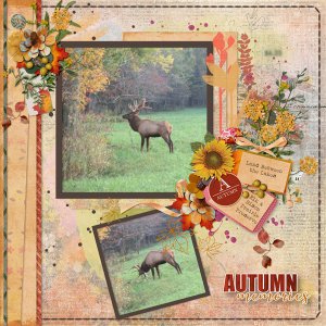 Sep Template Challenge LBL-Elk-Bison-Prairie.jpg