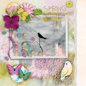 Spring bird