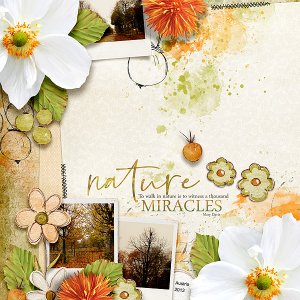 Nature's Miracles