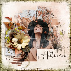 It´s Autumn